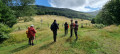 Une ascension au Baerenkopf depuis la Ferme-auberge de l'Entzenbach
