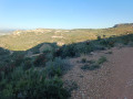 La colline de Vitrolles