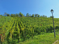 La colline du Mandelberg