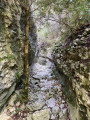 La combe Curnier