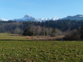 La dent d'Oche vue de Piolan au printemps