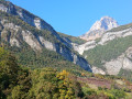 Les Grandes Eymes
