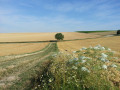 La descente vers Brantigny