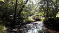 La double passerelle sur le ruisseau des Moulergues