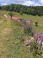 La Ferme Auberge du Kohlschlag sous le Col Amic