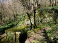 La Fontaine de Janniet