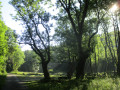 La Fontaine de Petouze