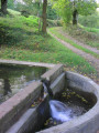 La Fontaine Fiacre dans la vallée de la Véronne