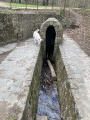 La fontaine Frère Jean