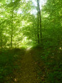 Les Roches de l'Ermitage et la Forêt de Saint-Gobain