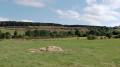 Sur le Causse de Montbel, entre Montbel et Larzalier