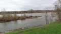 La Loire depuis Mareau-aux-Prés