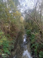 Le parc de la Loisne par Verquigneul