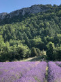 La Montagne de la Loube