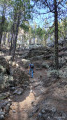 Découverte du Pico de Las Nieves