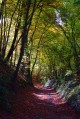 La montée du chemin creux