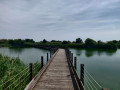 Sentier des Tamaris au bord de l'Étang du Méjean