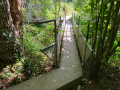 La passerelle menant à l’étang de la Cholière