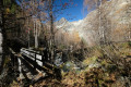 La passerelle sur le torrent des Etages