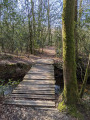 La petite passerelle sur La Caleuvre