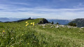 La Pinéa vue des prés sous le Charmant Som