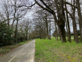 La piste cyclable