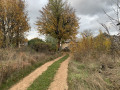 La piste menant au Hameau des Palhers