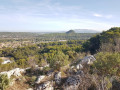 La plaine de Simiane Collongue