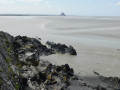 La Pointe du Grouin du Sud