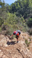 La remontée sur la colline avant le Mont Cuit