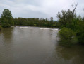 La rivière l'Ognon (Cussey sur l'Ognon)