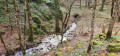 Le sentier karstique du Causse de Sorèze