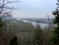 Boucle en forêt de la Londe-Rouvray aux Essarts-Grand Couronne