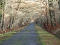 La route de Vanne