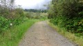 La Route Forestière de la Scierie