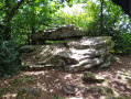 La Forêt de Grande Charnie