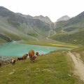 Lac Blanc et Col du Soufre