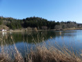 Le Lac de Chanon au départ de Chancia