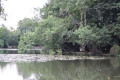 Lacs et Ruisseaux au Bois de Vincennes