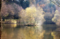 Boucle de la Trivalle et ses variantes depuis Saint-Pierre-de-Trivisy