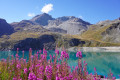 Lac de la Sassière