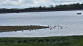 Michelbach dam