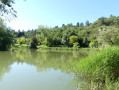 Lac de Monieux