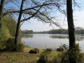 Lac de Vioreau au début du printemps