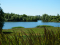 Lac de Virlay - Saint-Amand-Montrond