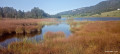 Lac des Mortes et tourbières