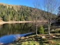 Lac des truites ou du Forlet