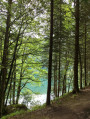 Boucle Gustiberg - Lac du Ballon - Grand Ballon, au départ de Firstacker