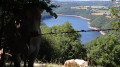 Lac du barrage de Sarrans