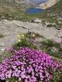 Lac du Foreant en contrebas du sentier